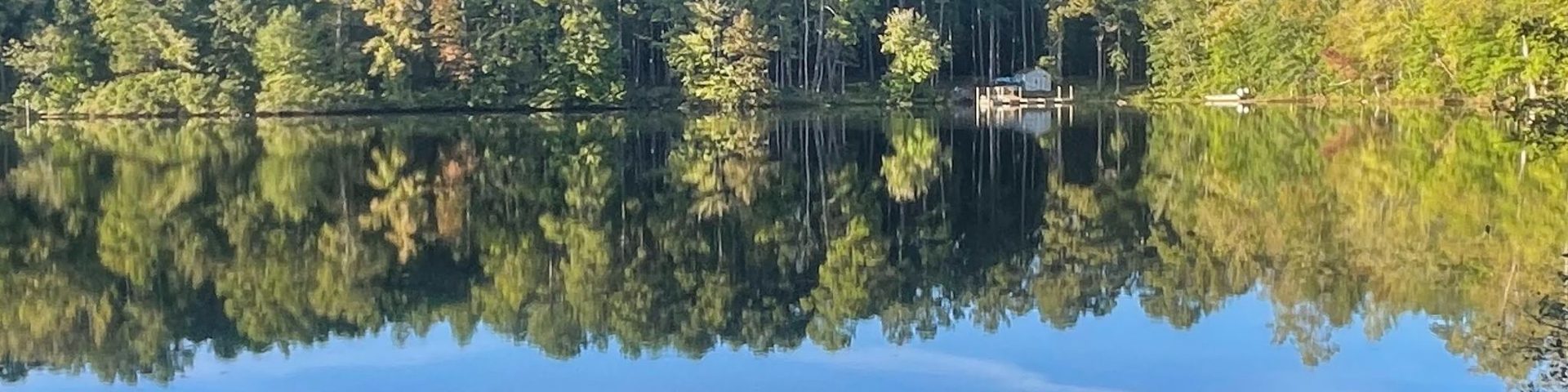 A calm lake reflecting green trees and a blue sky along its shoreline.